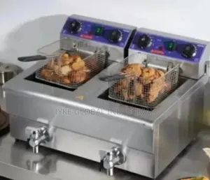Double Electric Fryer