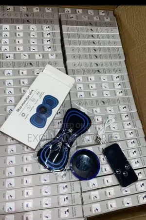 Portable Massager With Remote