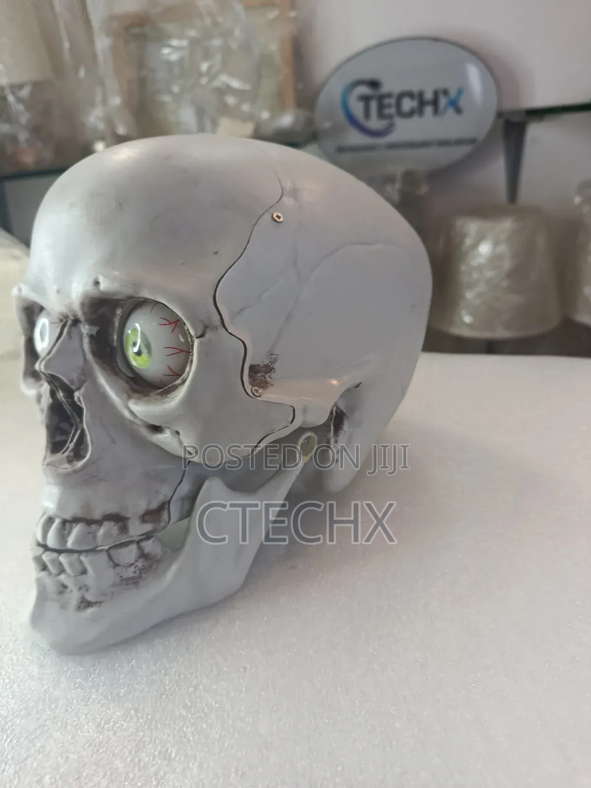 Skull Table Centerpiece Decoration
