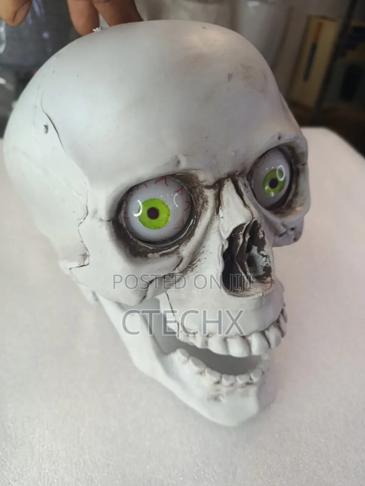 Skull Table Centerpiece Decoration