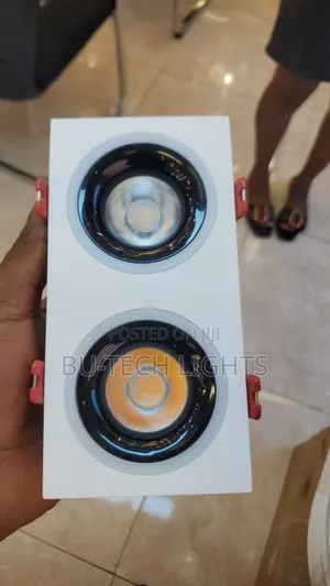 Double Recess Light