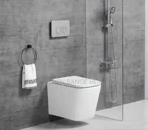 Photo - England Wall Hung Toilet Seat