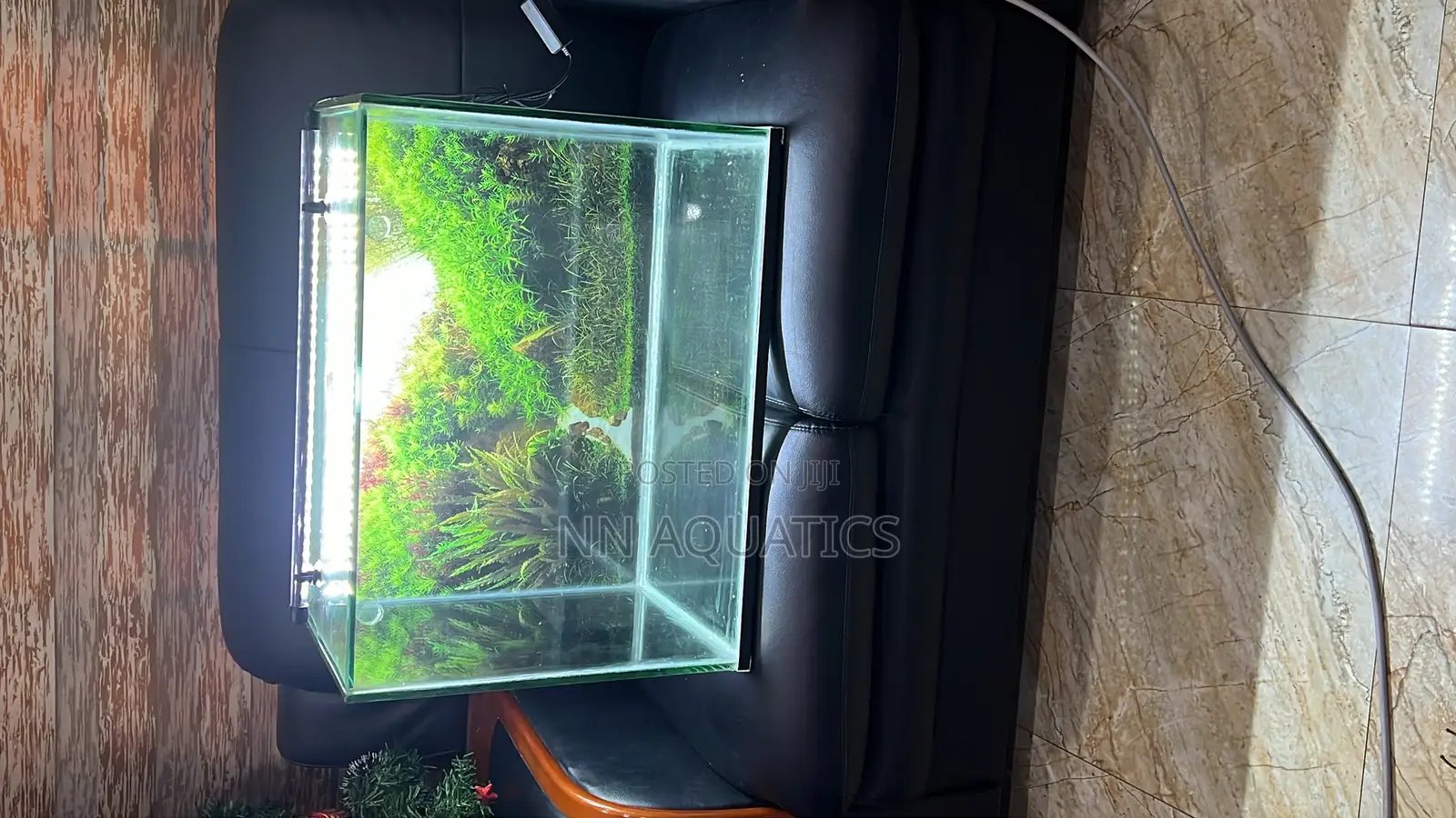Locally Made Aquarium