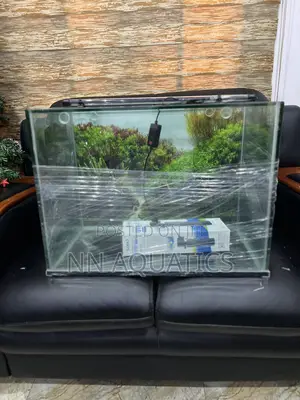 Locally Made Aquarium