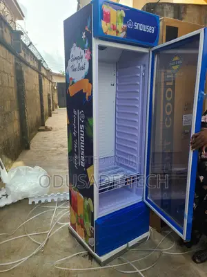 400w Snowsea Lc Water Chiller