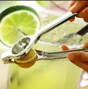 Stainless Steel Manual Juicer