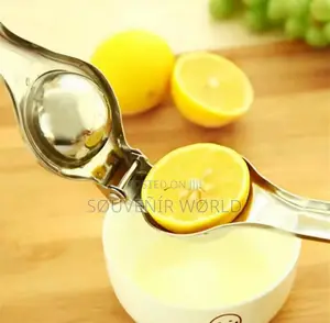 Stainless Steel Manual Juicer
