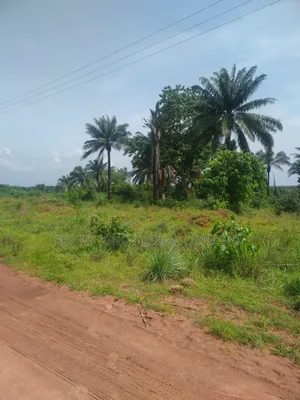 Wealthland Estate Phase 2 Awka