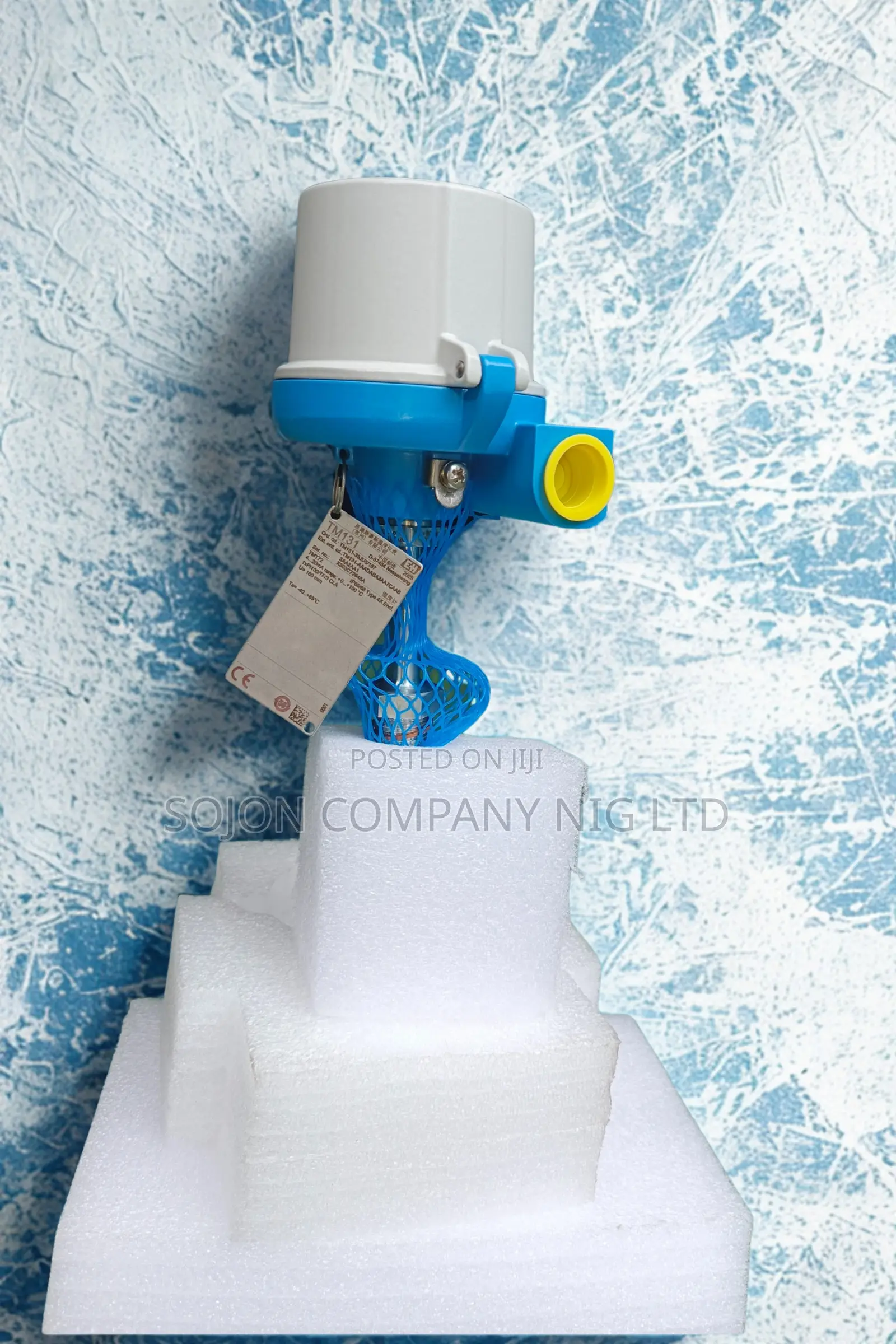 Endress+Hauser Temperature Transmitter Tm131