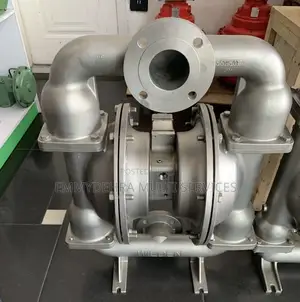 Stainless Diaphragm Wilden Pump
