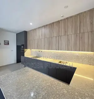 Luxury Kitchen Cabinet
