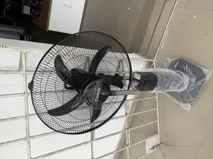 Century Mist Fan