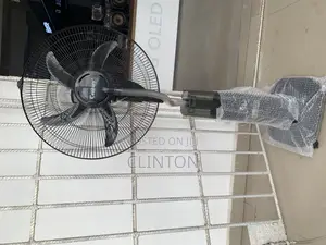 Century Mist Fan