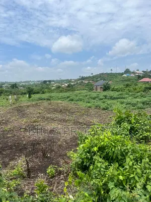 A Complete Full Plot of Land in a Serene Environment