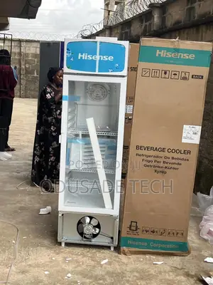 Hisense Fl30fc Upright Chiller – Single Door, 222l
