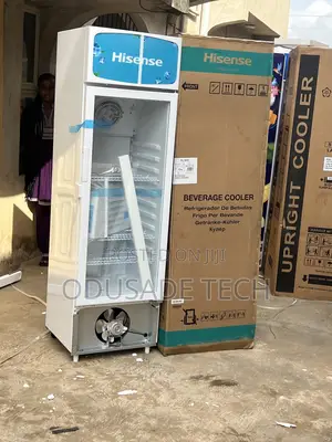 Affordable Hisense Fl30fc 222l Beverage Chiller