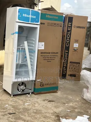Hisense Fl30fc – Low Noise Display Chiller (222l)