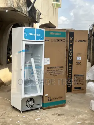 Hisense Fl30fc – 222l Chiller for Restaurant or Bar