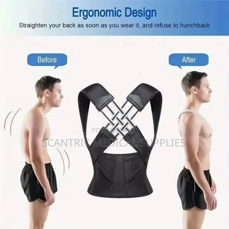 Posture Aid and Support Belt