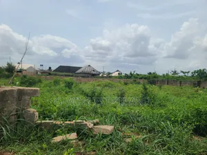 100 by 200ft Land for Sale at Aruogba Off Airport Road