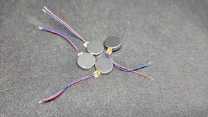 Vibration Motor