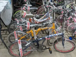 Adult Bicycle Foldable