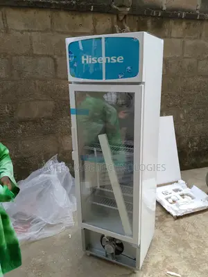 Energy-Saving Hisense Fl 30 Fc Refrigerator-222 Litres