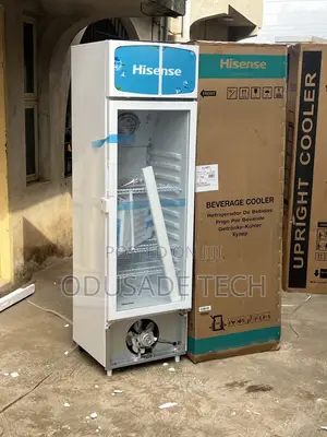 Hisense Fl30fc – Big Cooling, 222l Compact Design