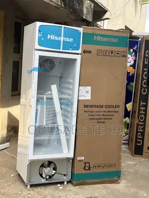Hisense 222l Commercial Upright Chiller – Fl30fc