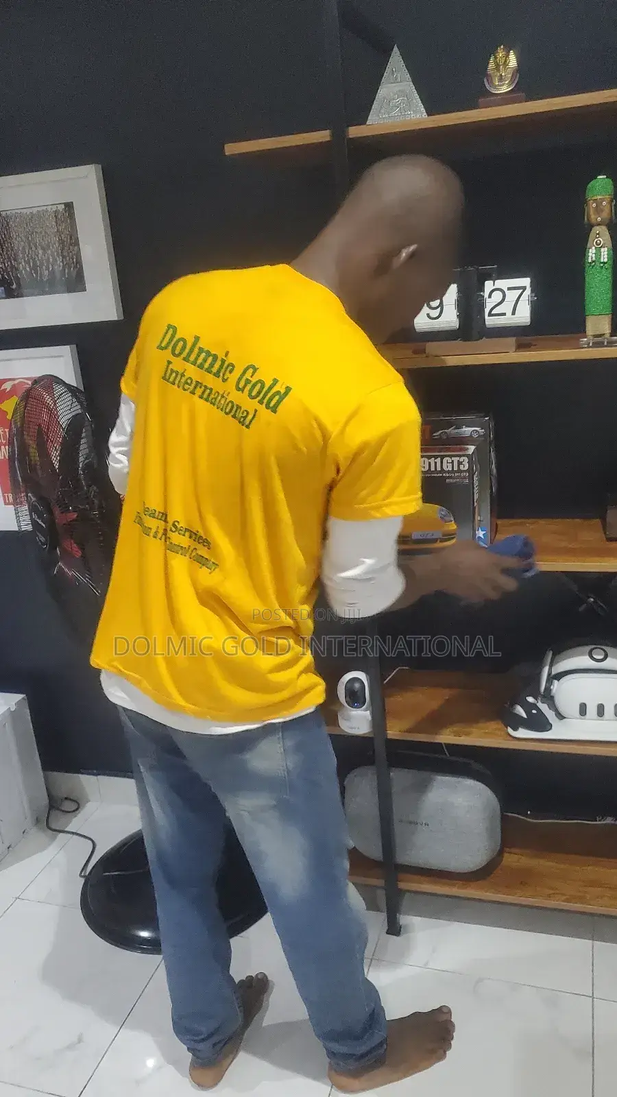Cleaning Pro