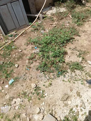 10 000sqm Plots of Land 4 Siale Leki Expressway