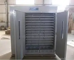 Large Egg Incubator
