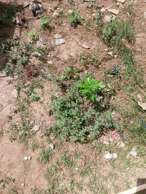 5000+ SQM Mixed (Jv) Joiiint Vvennture Victoria Island