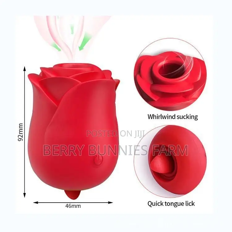 2 in 1 Rose Sucker and Licker