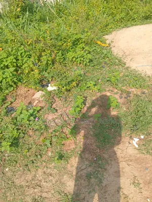 1bdrm Apartment in Igbogbo for sale