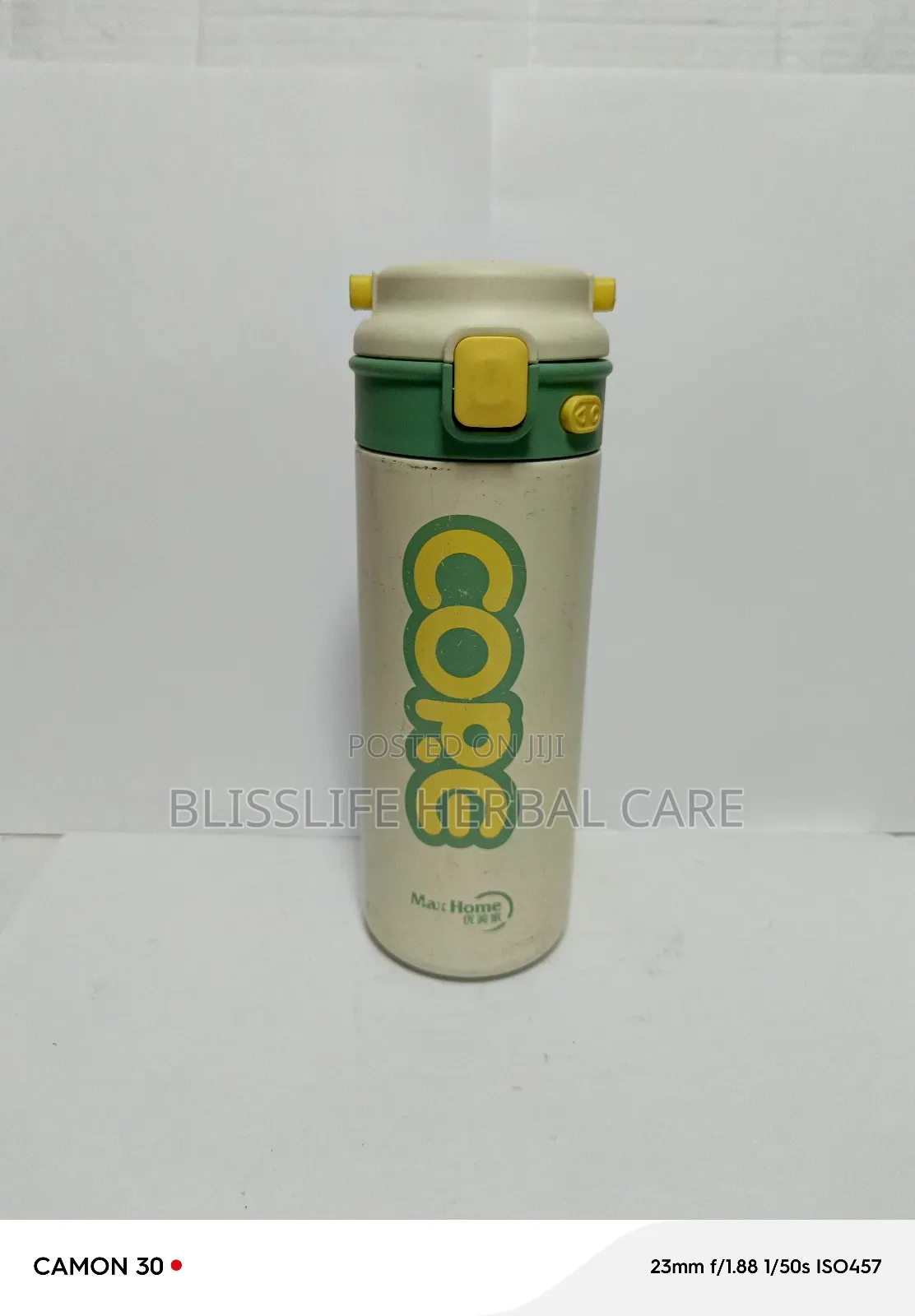 Chinese Water Flask