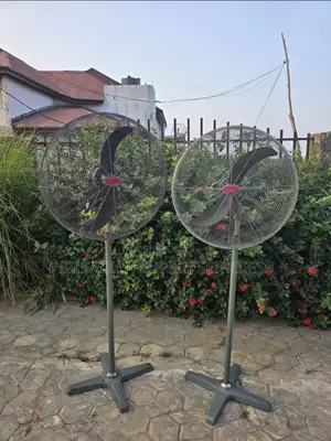 Original Ox Fan; Medium Size
