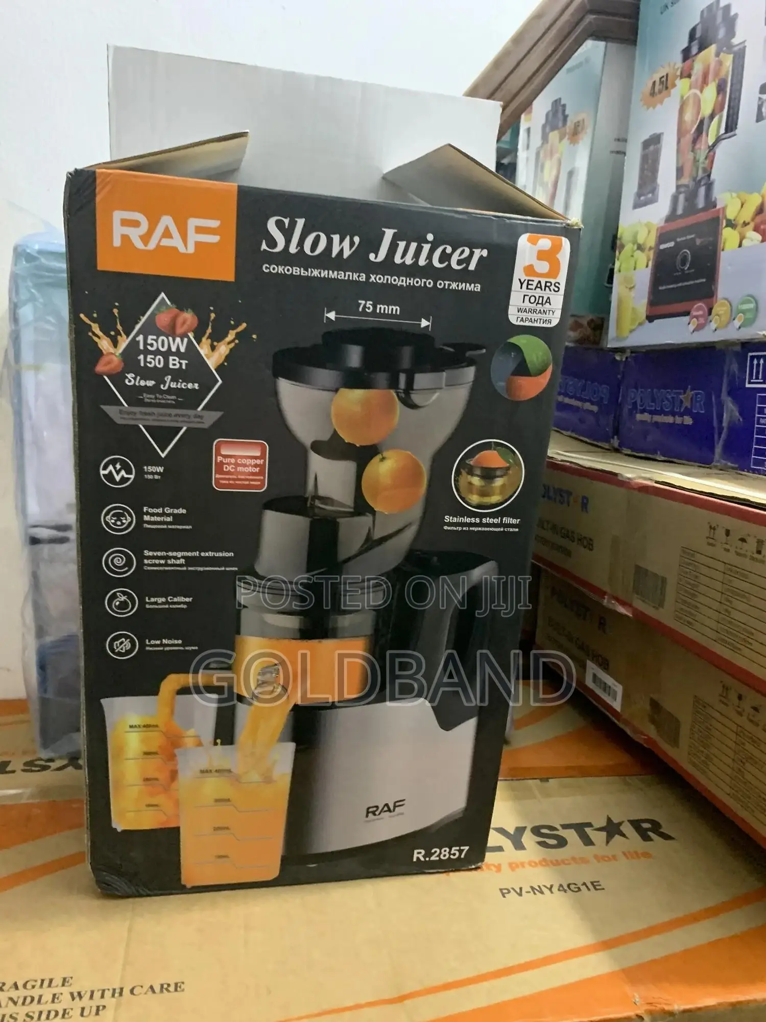 Raf 150w Cold Press Juicer
