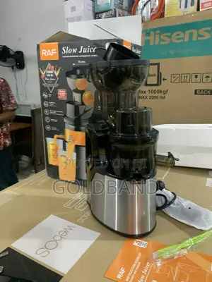 Indulge in Wellness With Raf 150w Slow Juicer