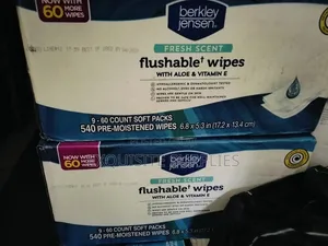 Berkley Jensen Flushable Wipes
