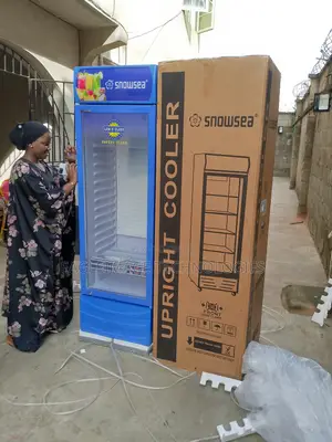 Durable Snowsea Lc-400w Chiller-Built to Last