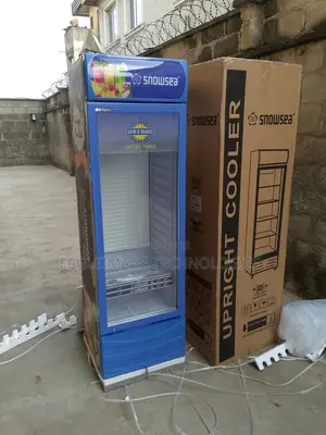 Large-Capacity Snowsea Lc-400w Chiller- Store More