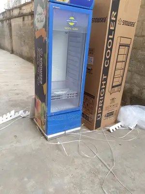 Sleek-Design Snowsea Lc-400w Chiller-Neat Look