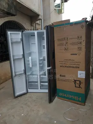 Hisense SXS 529l Refrigerator (Rd5p558nmsn)