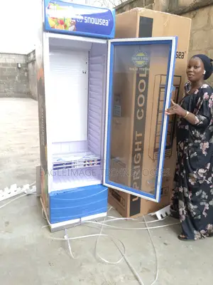 Frost-Free Snowsea Lc-400w Refrigerator-No Ice Build Up
