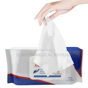 Sanitizing Alcohol Towelettes