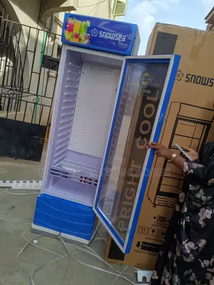 Multi Use Snowsea Lc-400w Chiller-Food and Drinks
