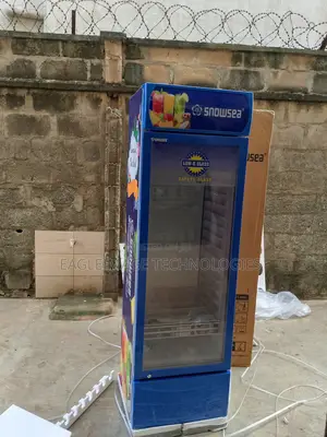 Neat Snowsea Lc-400w Refrigerator-Tidy and Clean Interior