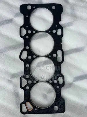 Foton Cylinder Gasket