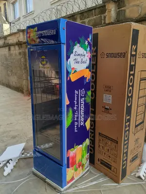 Strong-Performance Snowsea Lc-400w Chiller- All Day Cool